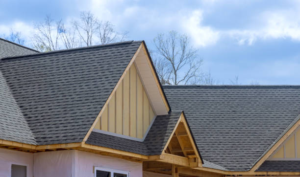 Best Roof Moss and Algae Removal  in Brunswick, OH