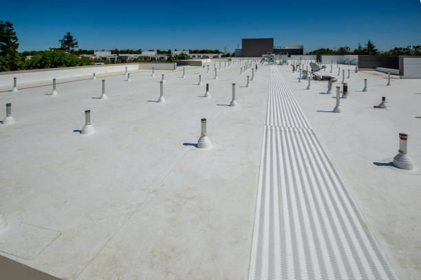 Best Storm Damage Roof Repair  in Brunswick, OH
